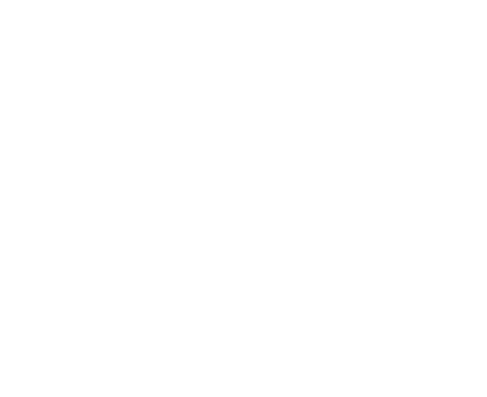 shape icon