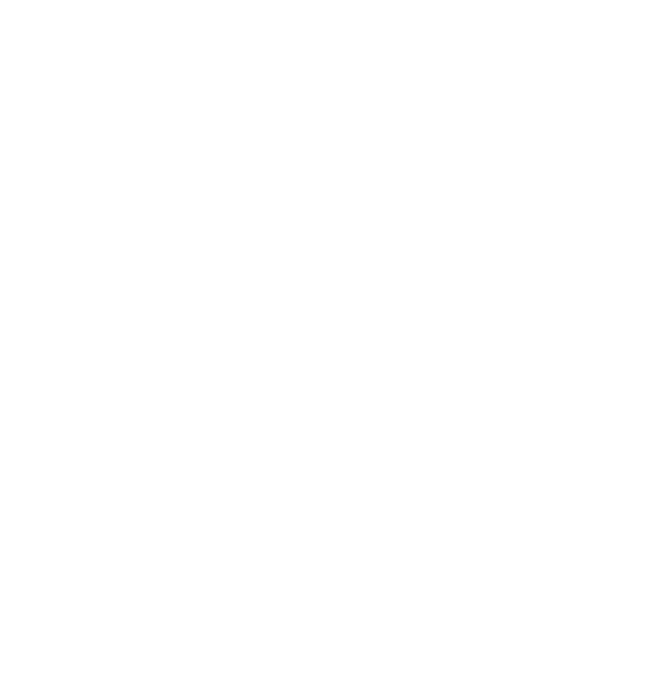 shape icon