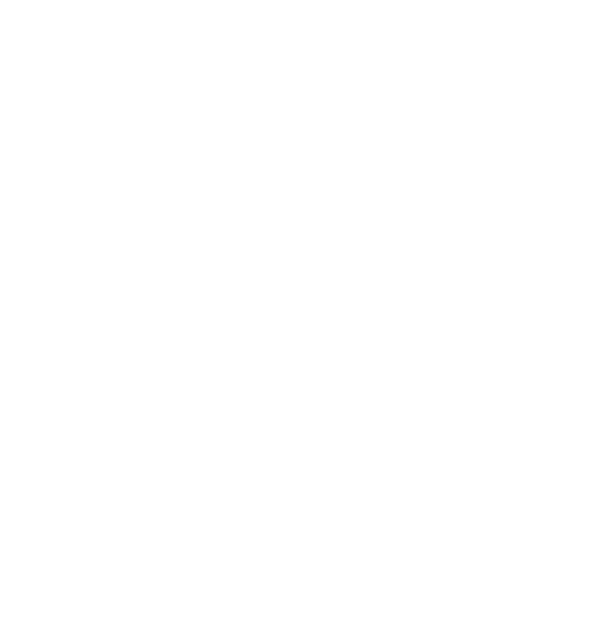 shape icon